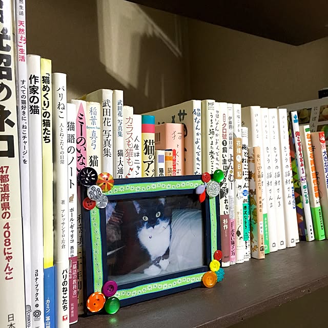 hilaさんの実例写真