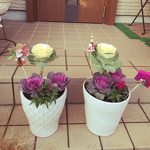 mintさんの実例写真