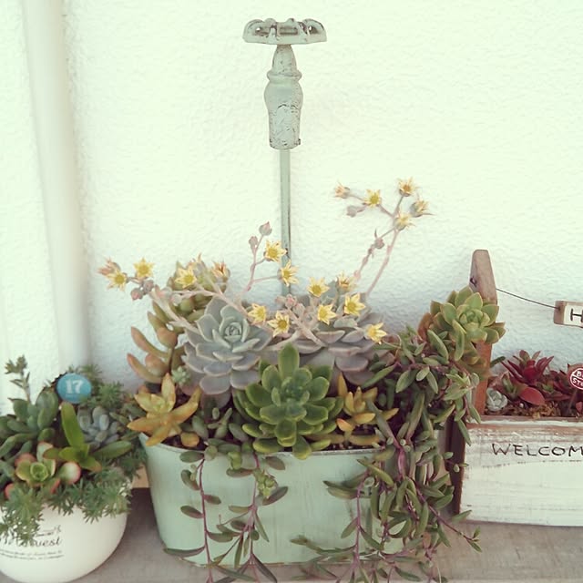 VERANDARJUNさんの実例写真