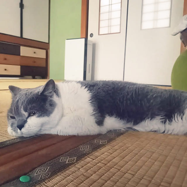 rhuさんの実例写真
