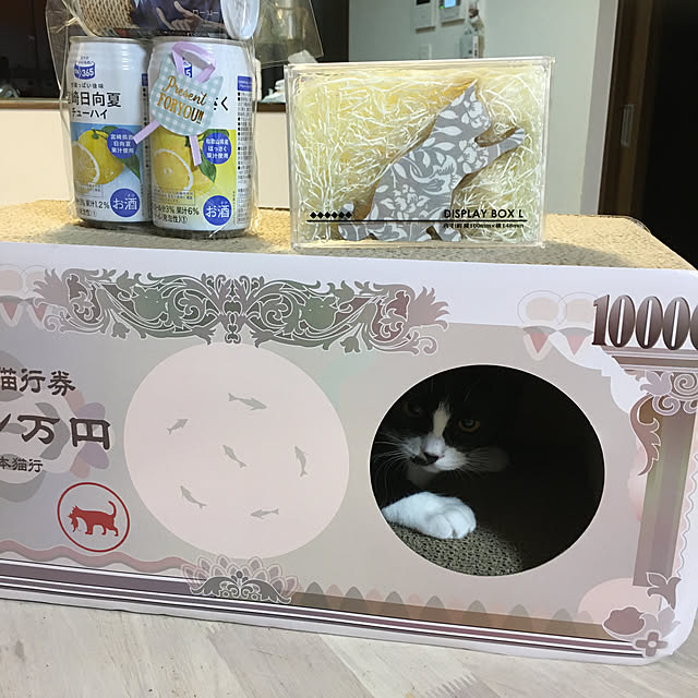 nekoさんの実例写真