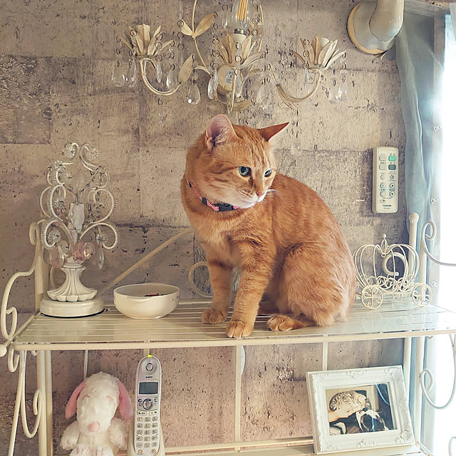 asuminさんの実例写真