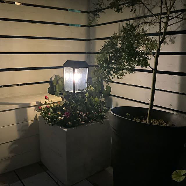 kuruさんの実例写真