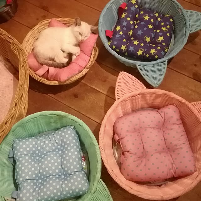 Maki-nekomamireさんの実例写真