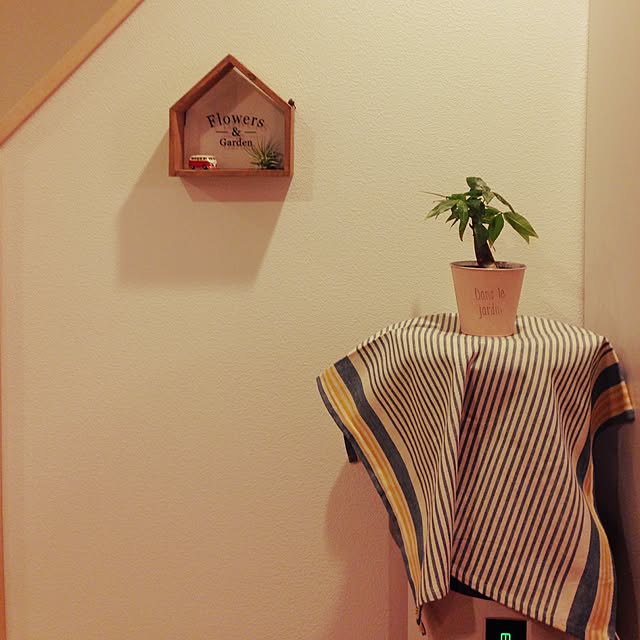 Ayaさんの実例写真