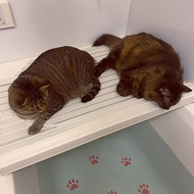 mikomaruさんの実例写真
