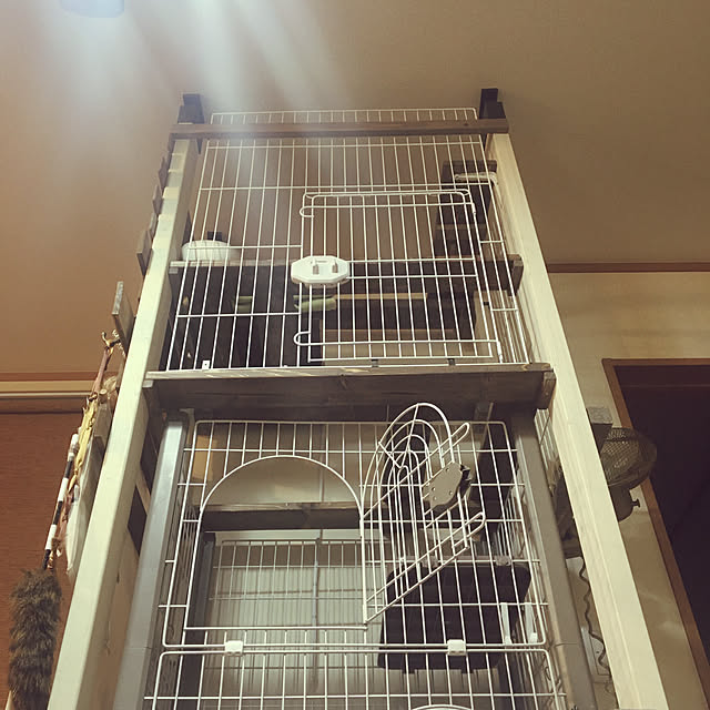 猫多頭飼い/猫ゲージDIY/2✖️2/2✖️4/1✖️3...などのインテリア実例 - 2021-01-04 18:44:41