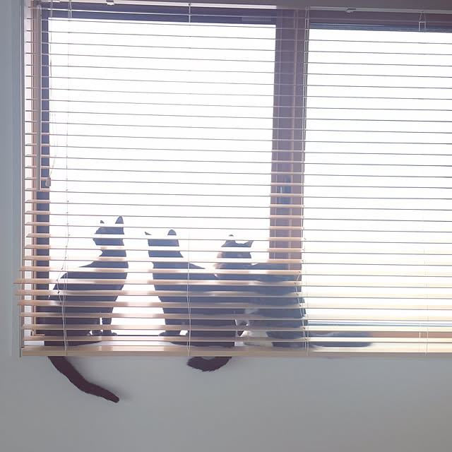 HRMLRさんの実例写真