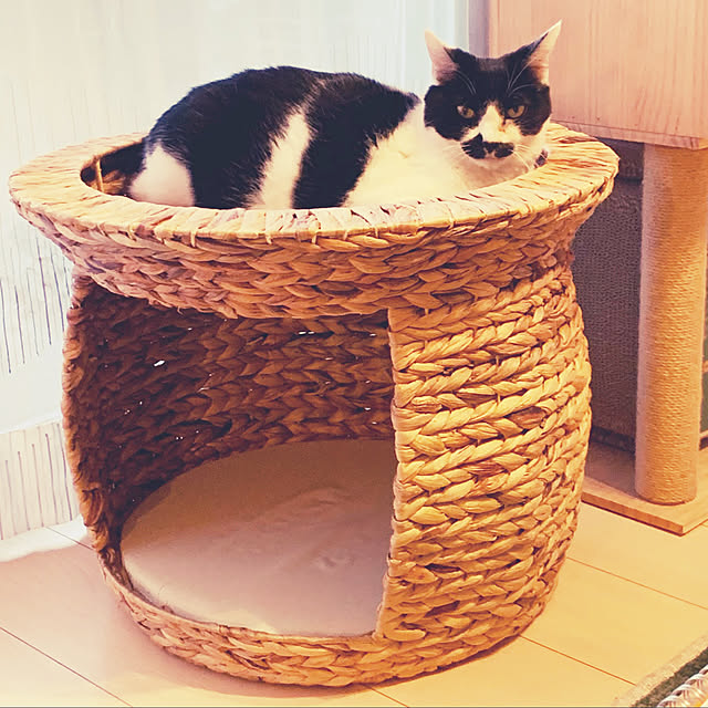 kumimonさんの実例写真