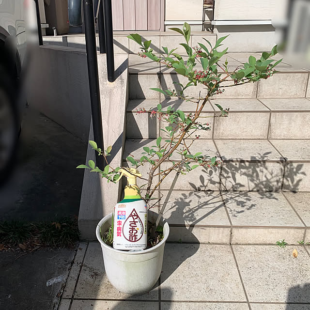 Tinoさんの実例写真