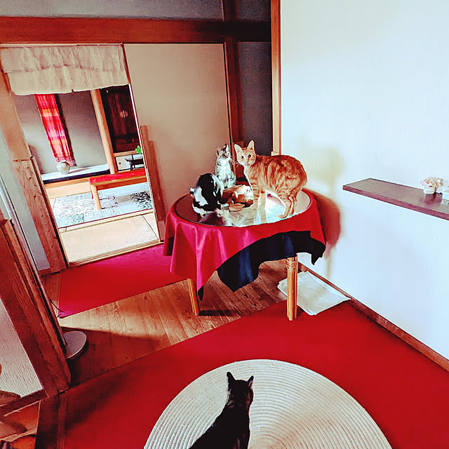 uchizukonyanさんの実例写真