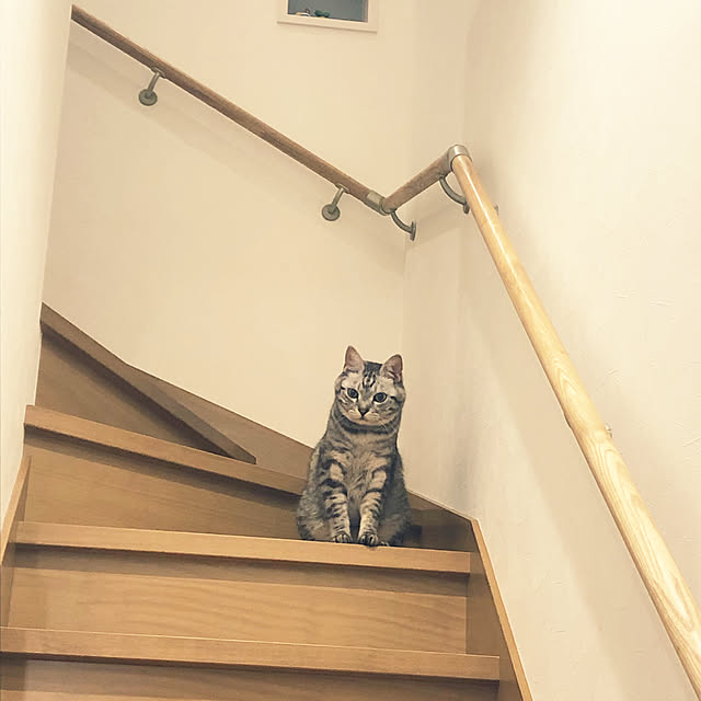 syrnuu946さんの実例写真