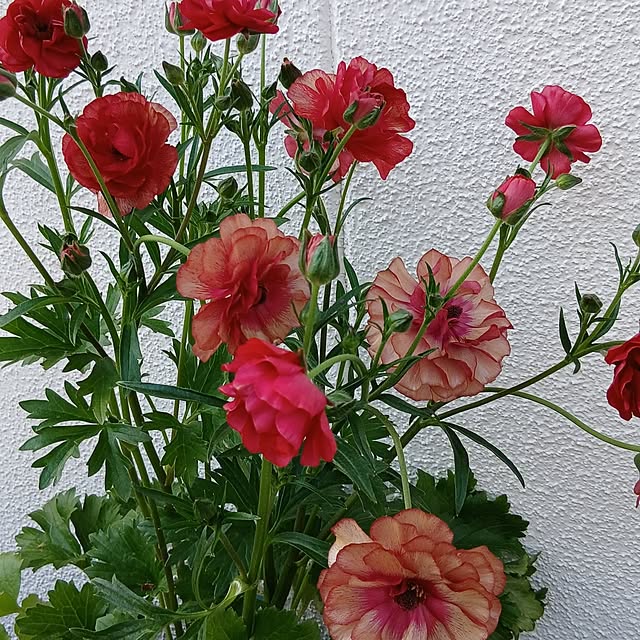 tomomiさんの部屋