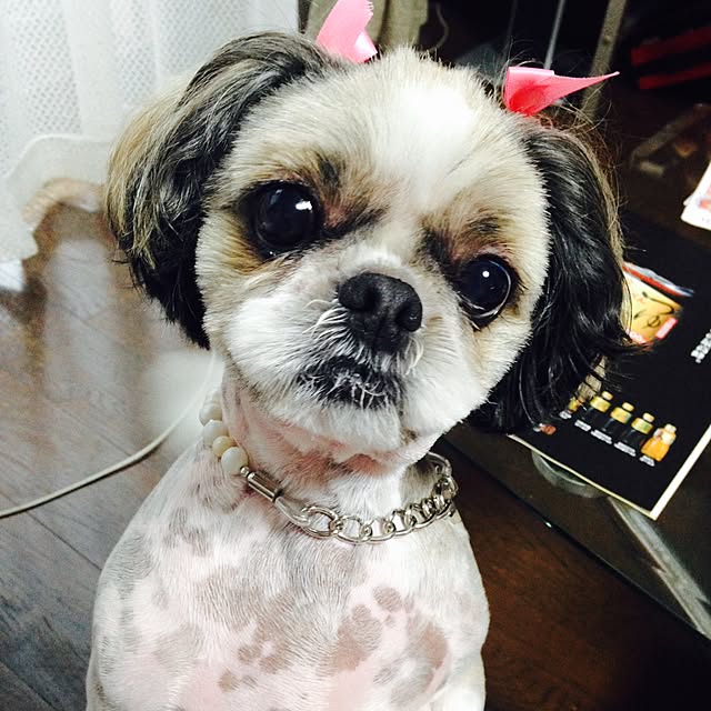 pepeさんの実例写真