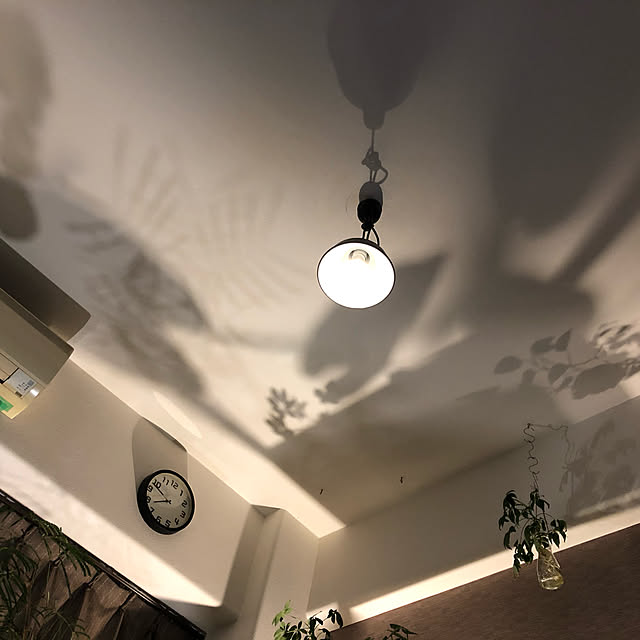 plants.fjkさんの実例写真