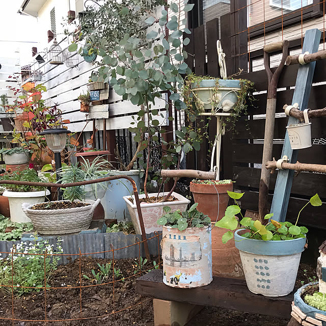 kokko3さんの実例写真