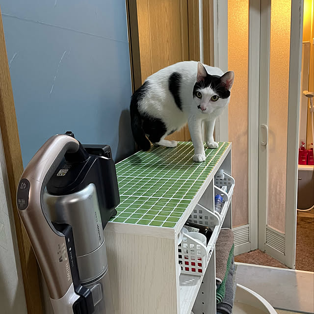 nobikoさんの実例写真