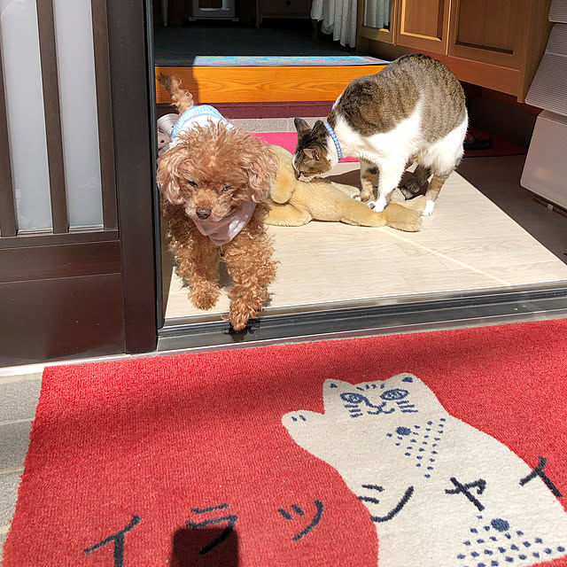 haruminさんの実例写真