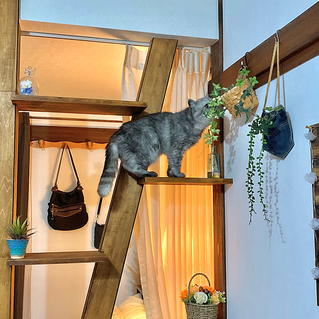 marinさんの部屋