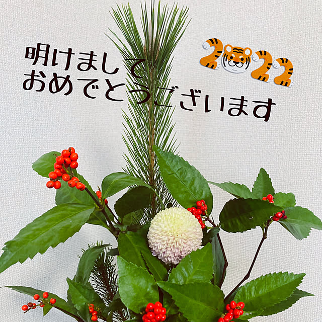 satomatuさんの実例写真