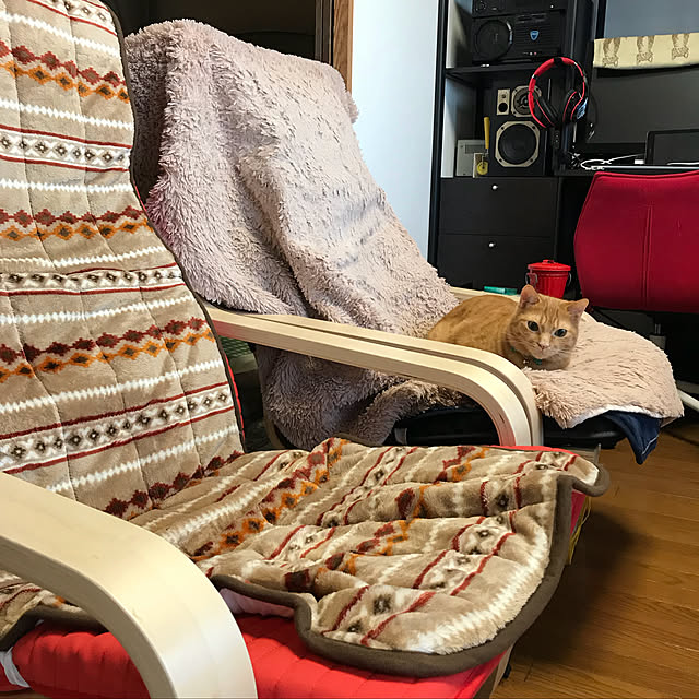 nekohagu2022さんの実例写真