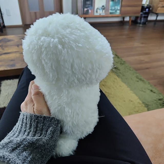 miwaco_miwacoさんの部屋