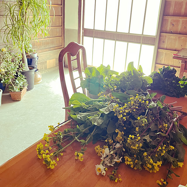 cota2さんの部屋