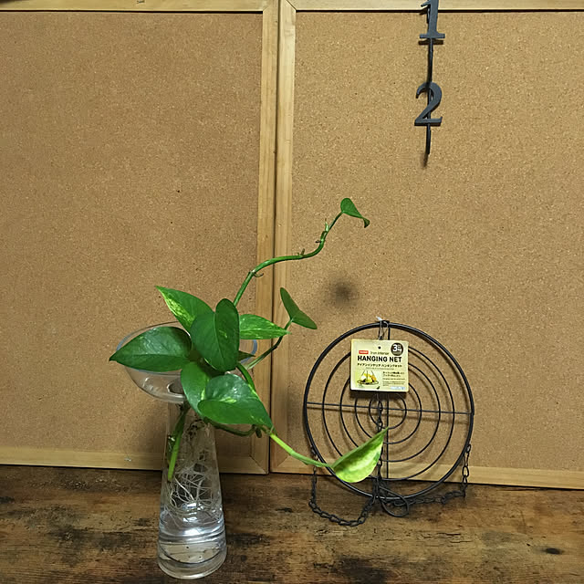 dainaoreiさんの実例写真