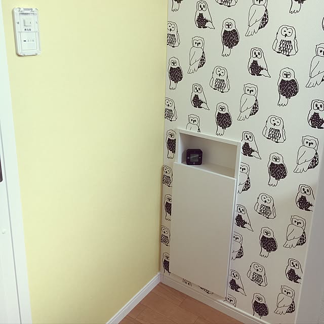 makonosukeさんの実例写真