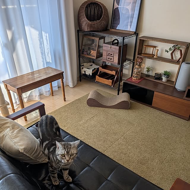 lovepeaceさんの部屋