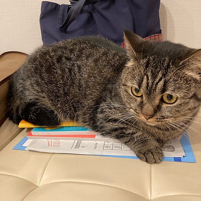 nocomomさんの実例写真