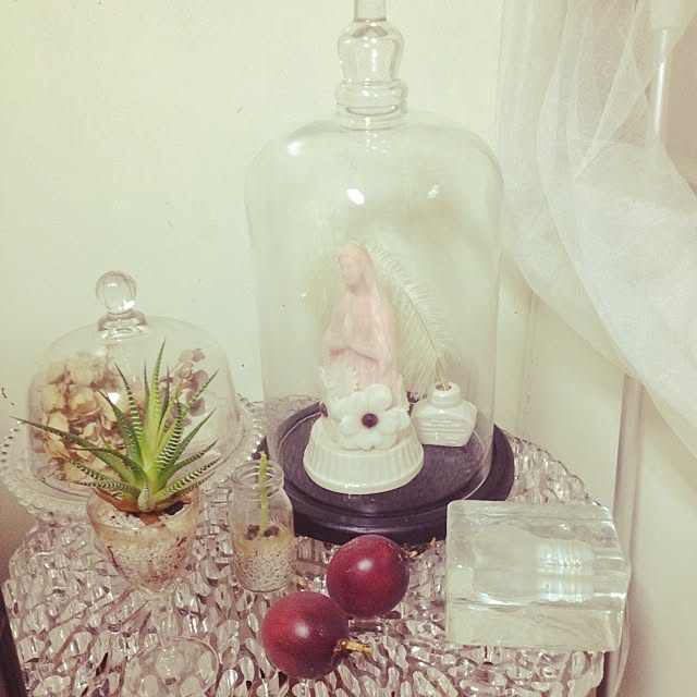スペシャルオファ 生花 月下美人 2輪仕立て 観賞用 水中花 入念 ドーム ガラス プリザーブドフラワーアレンジメント