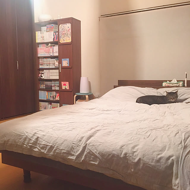anさんの実例写真