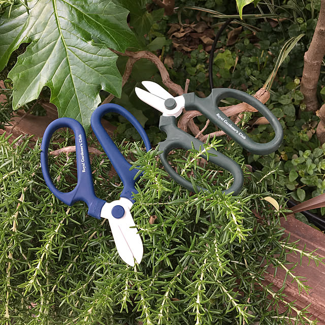 Royal_Gardeners_Clubさんの部屋