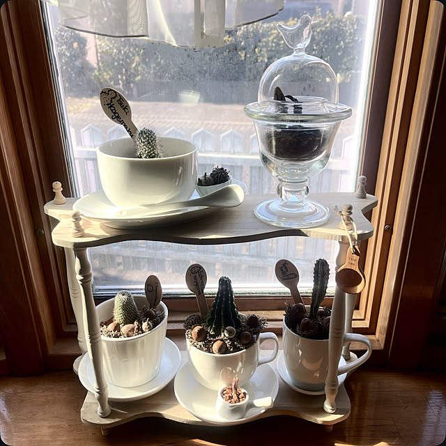 Ohigeさんの実例写真