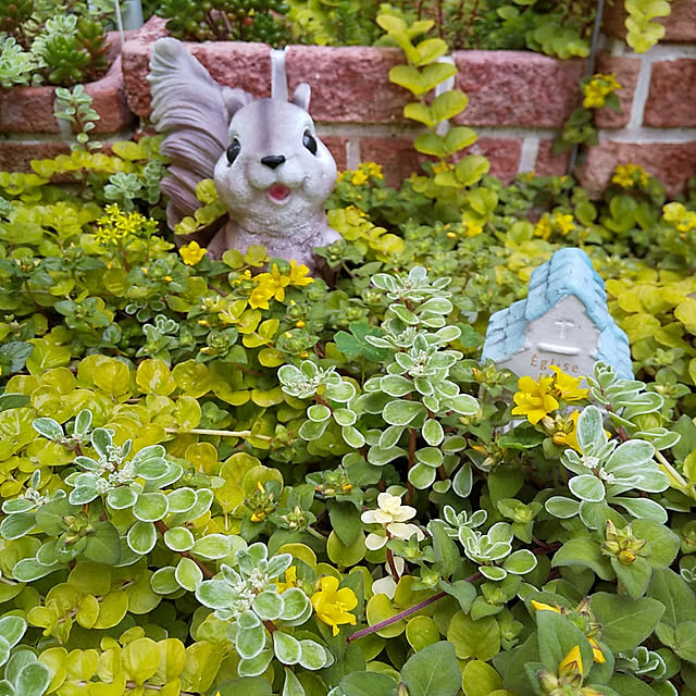 25Moondropsさんの実例写真