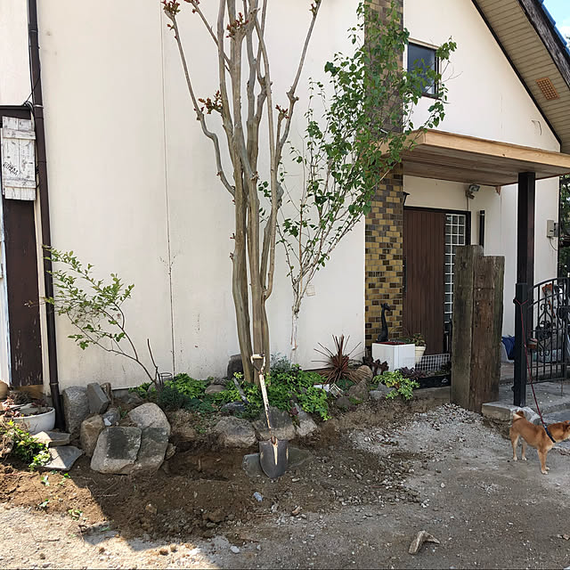 takanaさんの実例写真