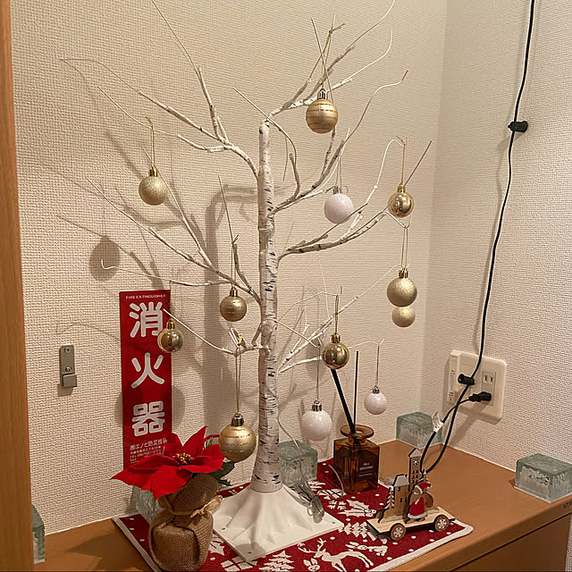 Wakaさんの実例写真