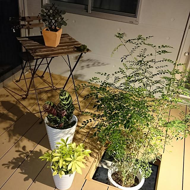 tomoさんの実例写真