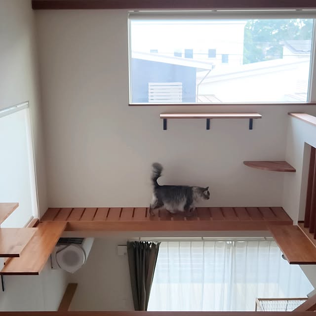 kossyさんの部屋