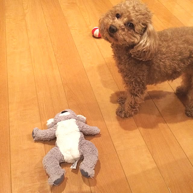 Momoさんの実例写真