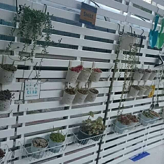 hideさんの実例写真