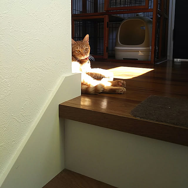 37さんの実例写真