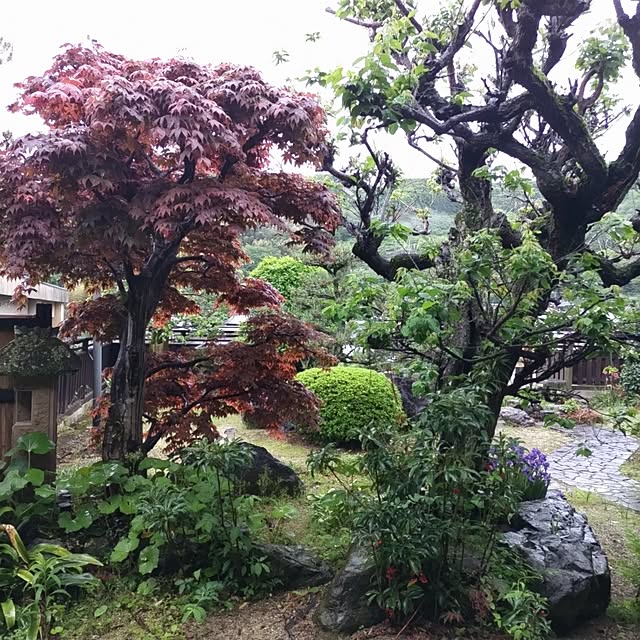 kuririnmamaさんの部屋