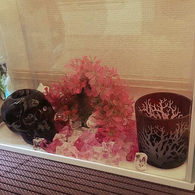 fumi_fufufuさんの実例写真