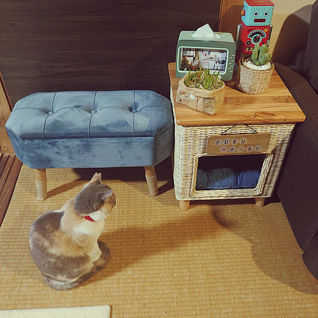 fukuさんの実例写真