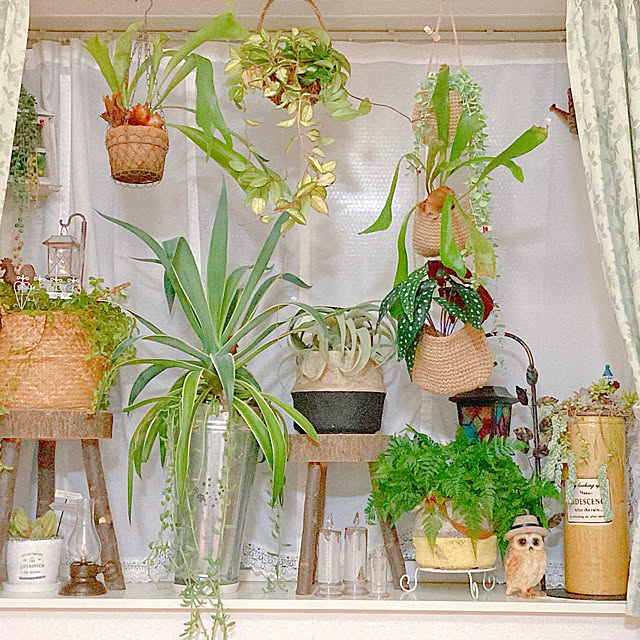 Hanakaさんの実例写真