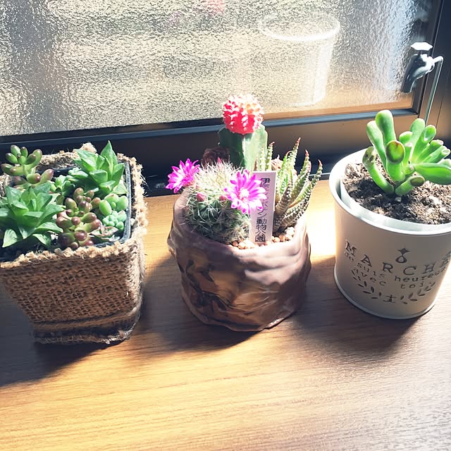 CoffeeHouseさんの実例写真