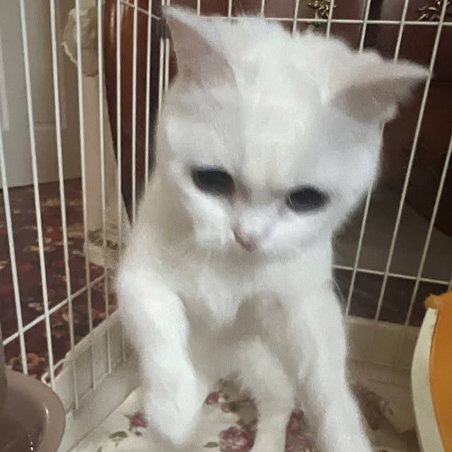 AYUKOさんの部屋
