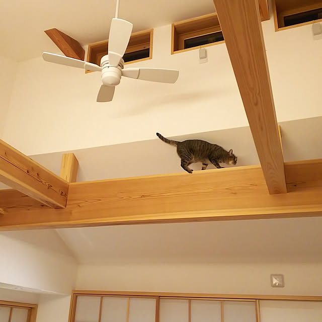 youkoasaさんの実例写真